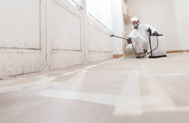 24/7 Emergency Mold Removal experts in Bogota, NJ